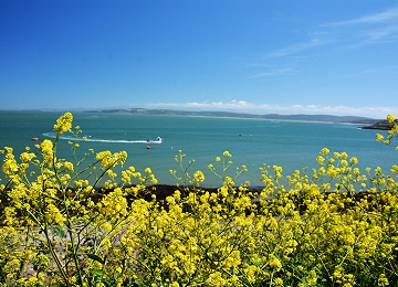 Coastal views from Moelfre