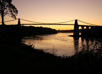 Menai suspension bridge sunset with tree