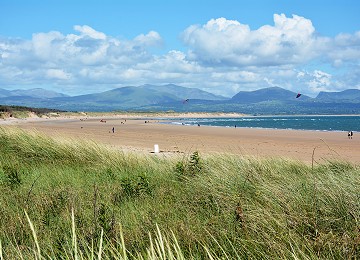 Newborough beach over the Marram grass