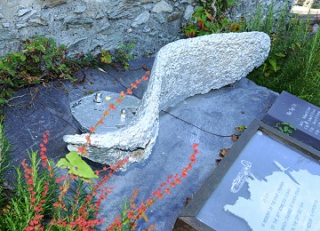 Propeller from American B24 bomber that crashed near North Stack on Anglesey