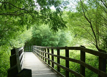 Stunning countryside walk to aberlleiniog castle