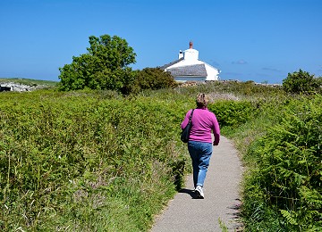 Walking through the bracken towards the headland in summer at Moelfre
